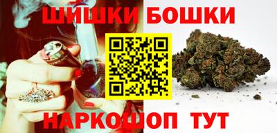 молекула духа Будённовск